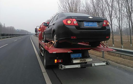 1690452629817049.jpg 8.jpg